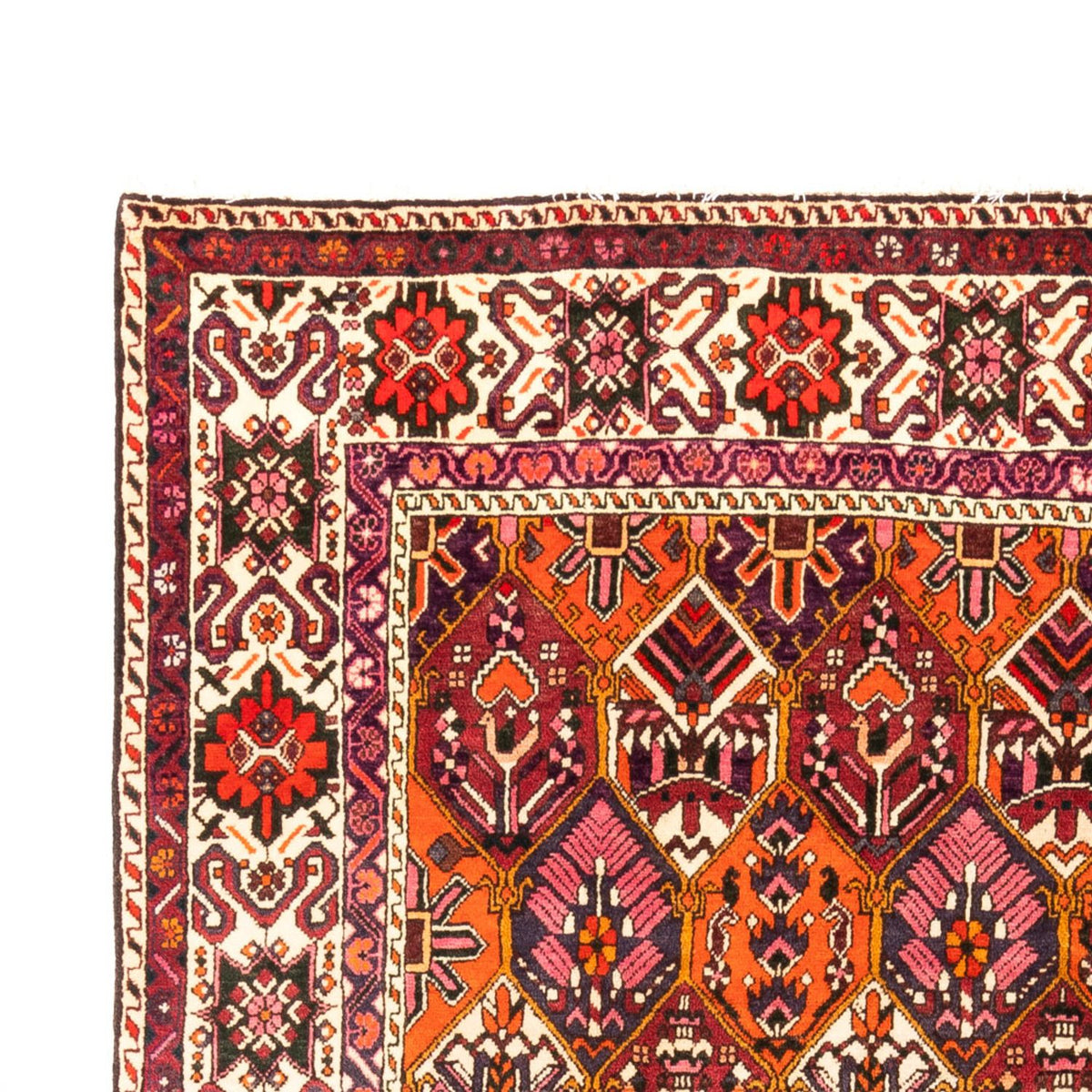 Bakhtiari Rug 203x310cm - Persian Rugs