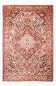 Bakhtiari Rug 312x214cm - Persian Rugs