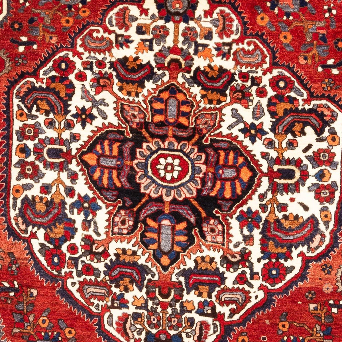 Gabbeh Rug - Perser - 302 x 207 cm - multicolored