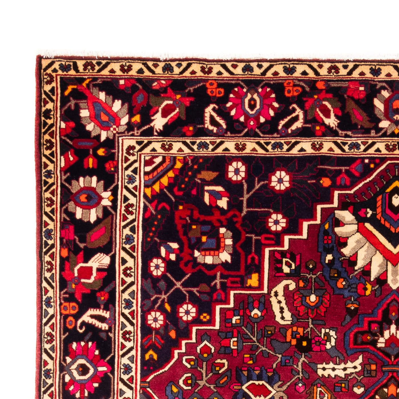 Bakhtiari Rug 312x215cm - Persian Rugs