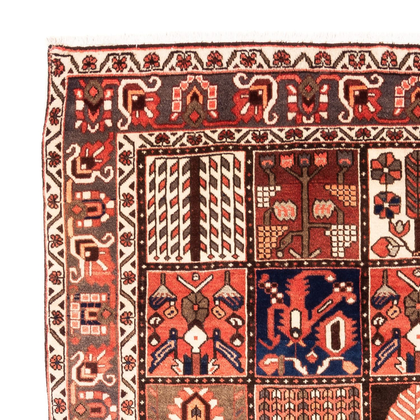 Bakhtiari Rug 304x198cm - Persian Rugs