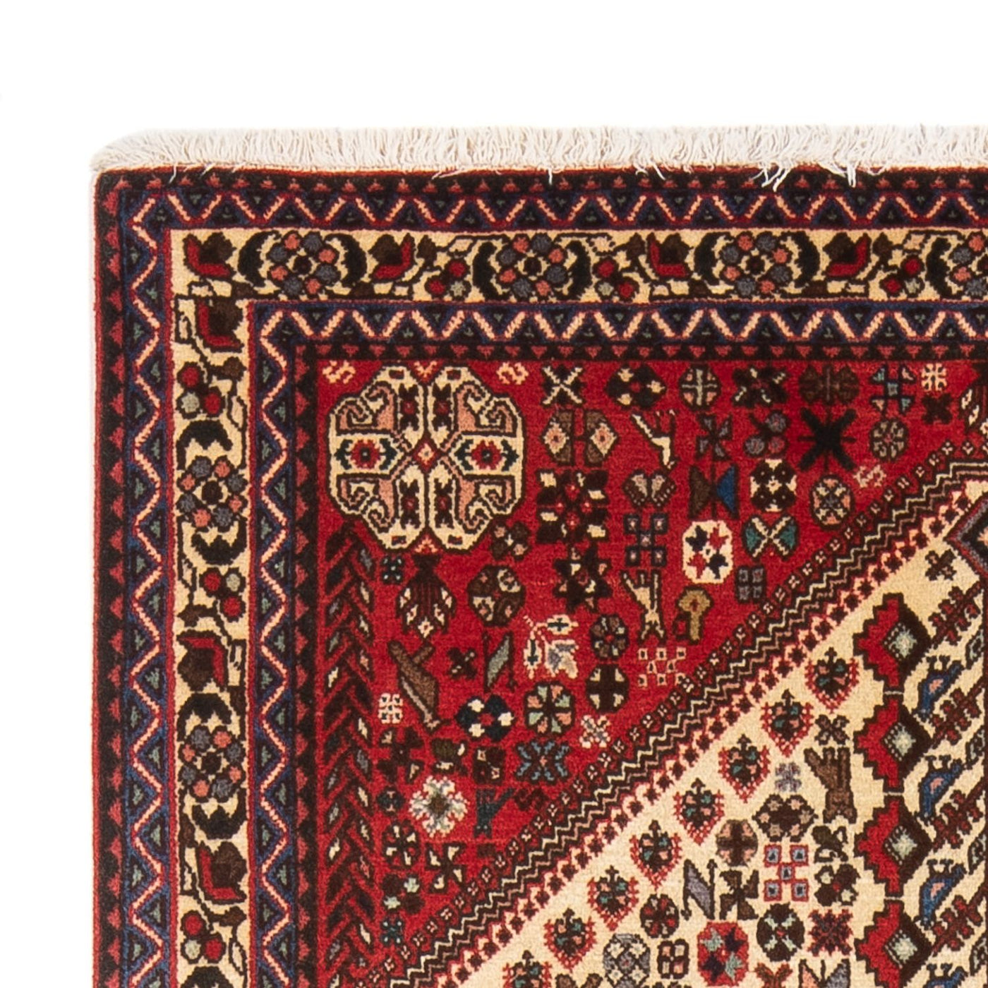 Abadeh Rug 155x103cm - Persian Rugs