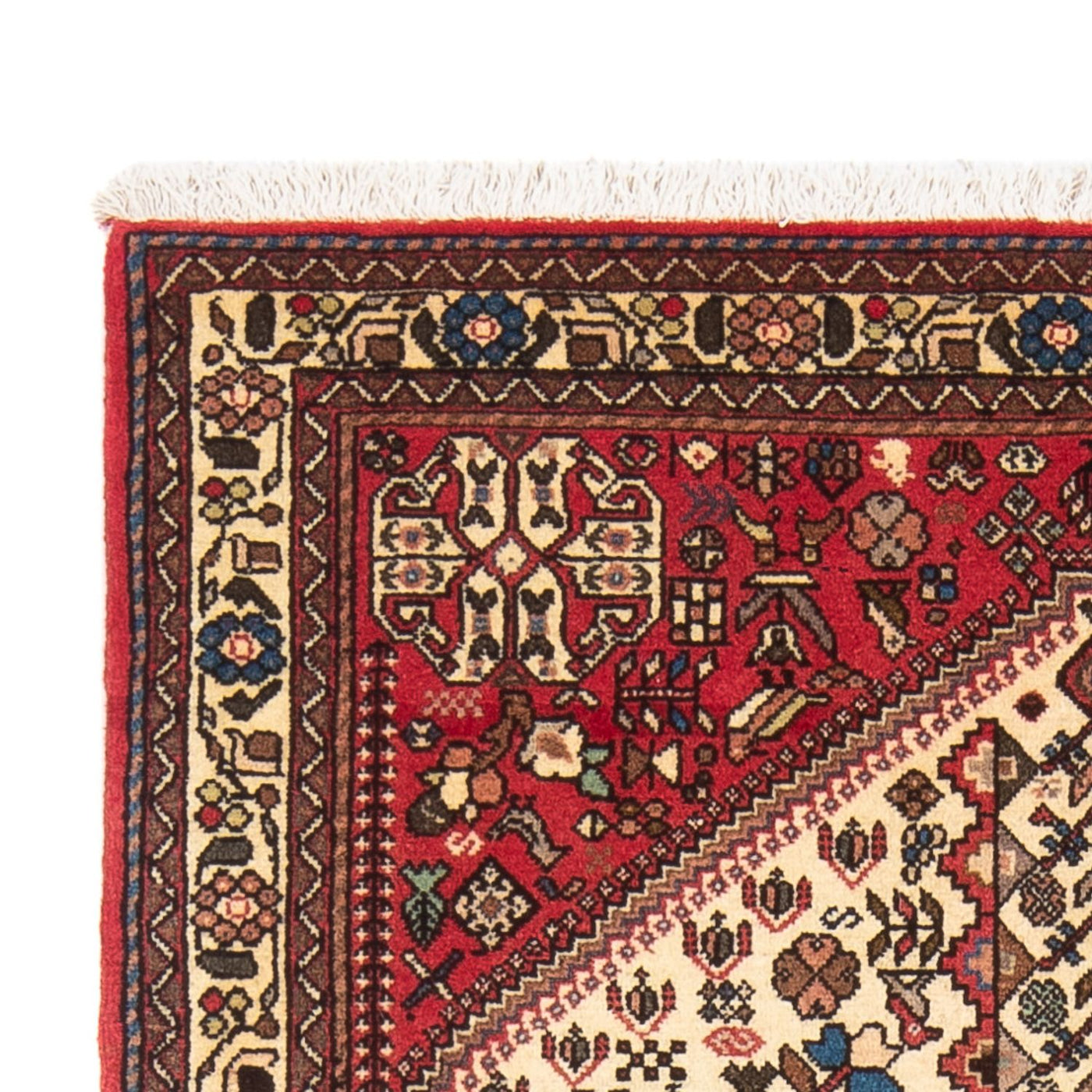 Abadeh Rug 155x97cm - Persian Rugs