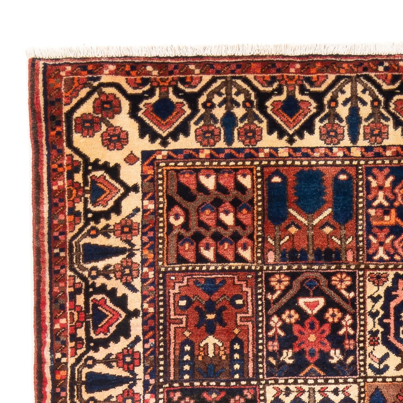 Bakhtiari Rug 210x147cm - Persian Rugs