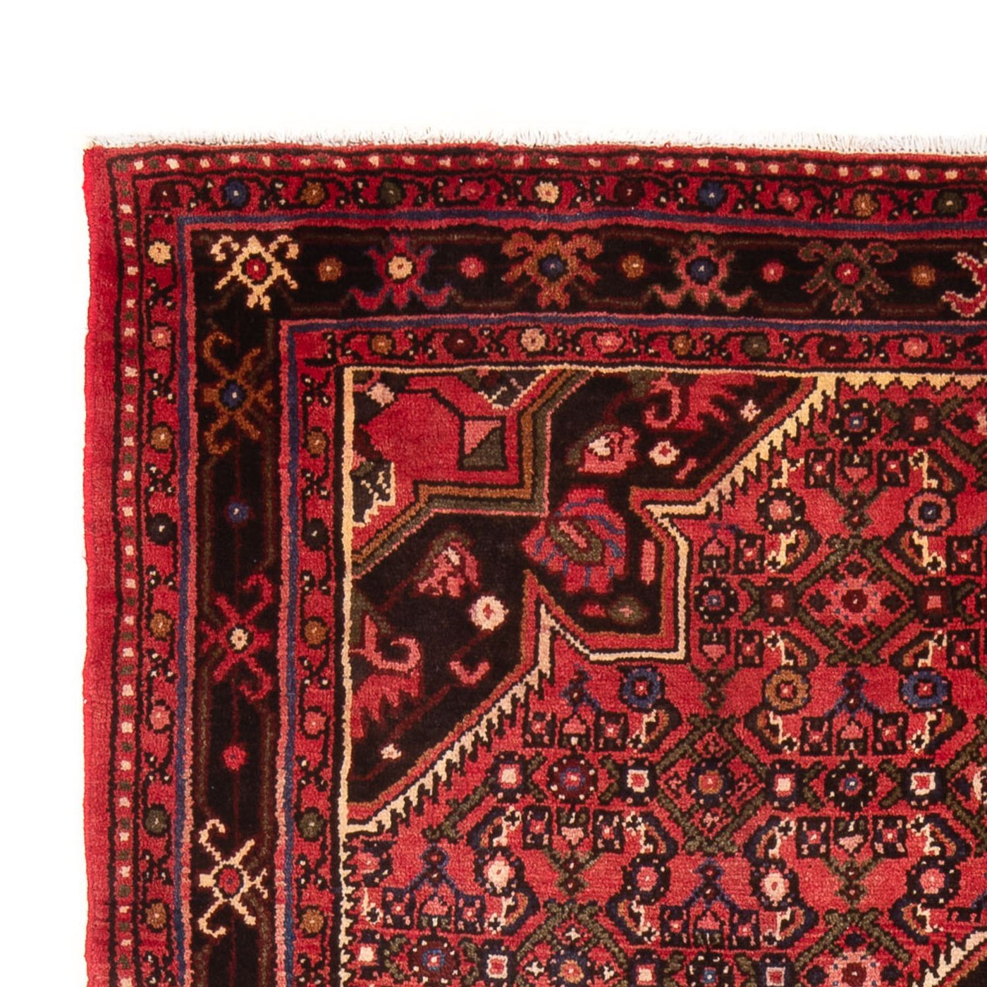 Hamadan Rug 225x156cm - Persian Rugs