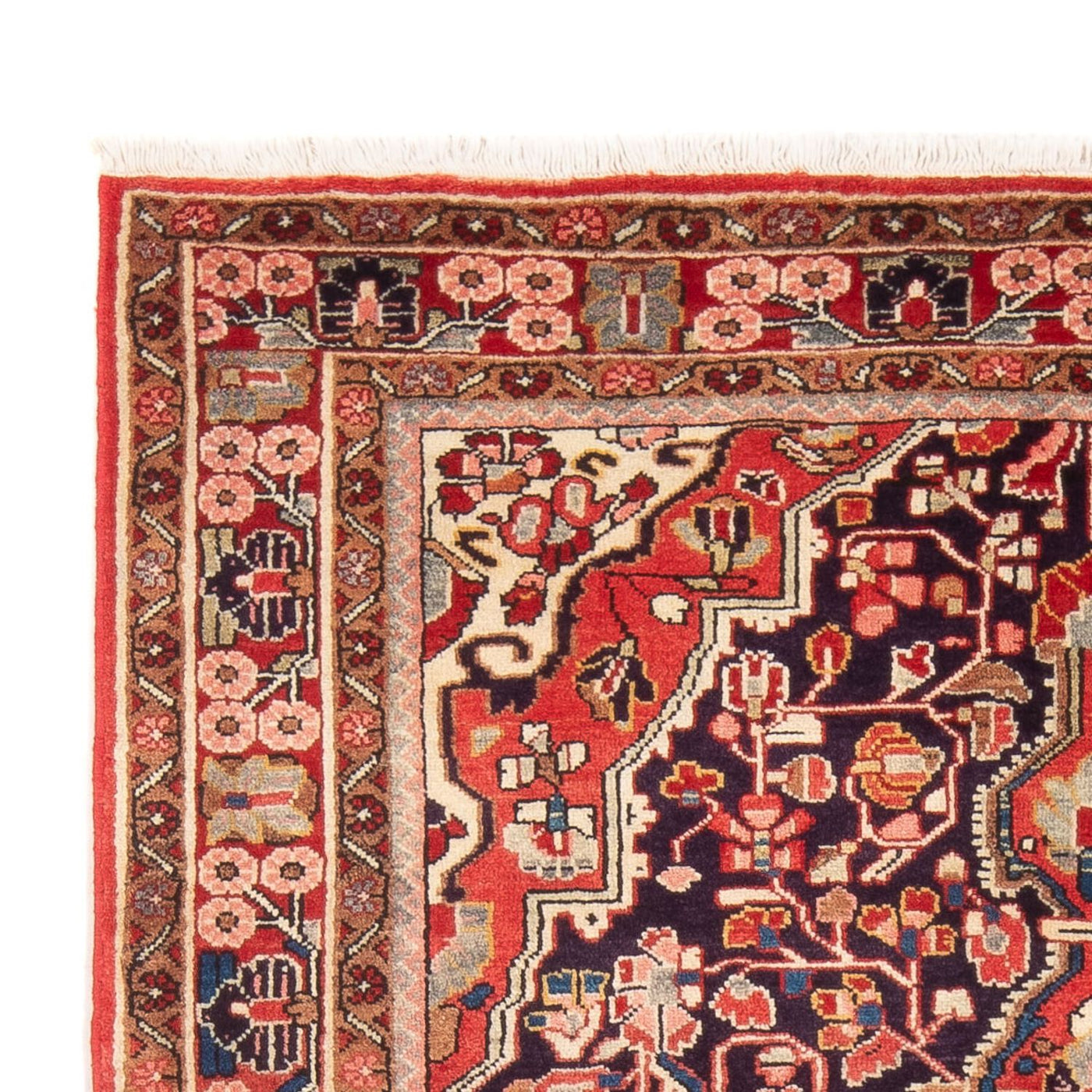 Kolyai Rug 210x132cm - Persian Rugs