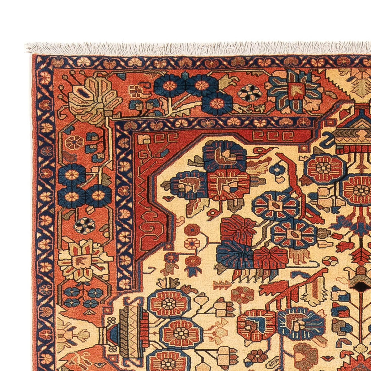 Nahavand Rug 160x238cm - Persian Rugs
