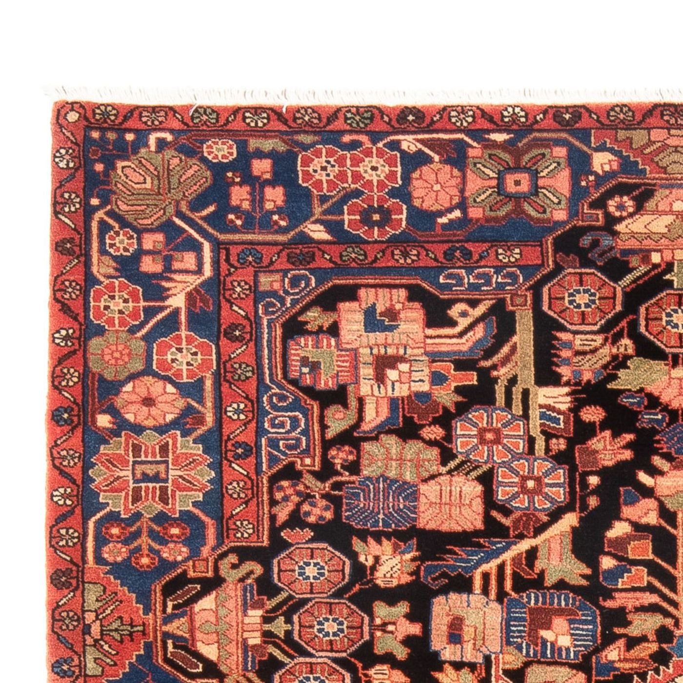 Nahavand Rug 234x158cm - Persian Rugs