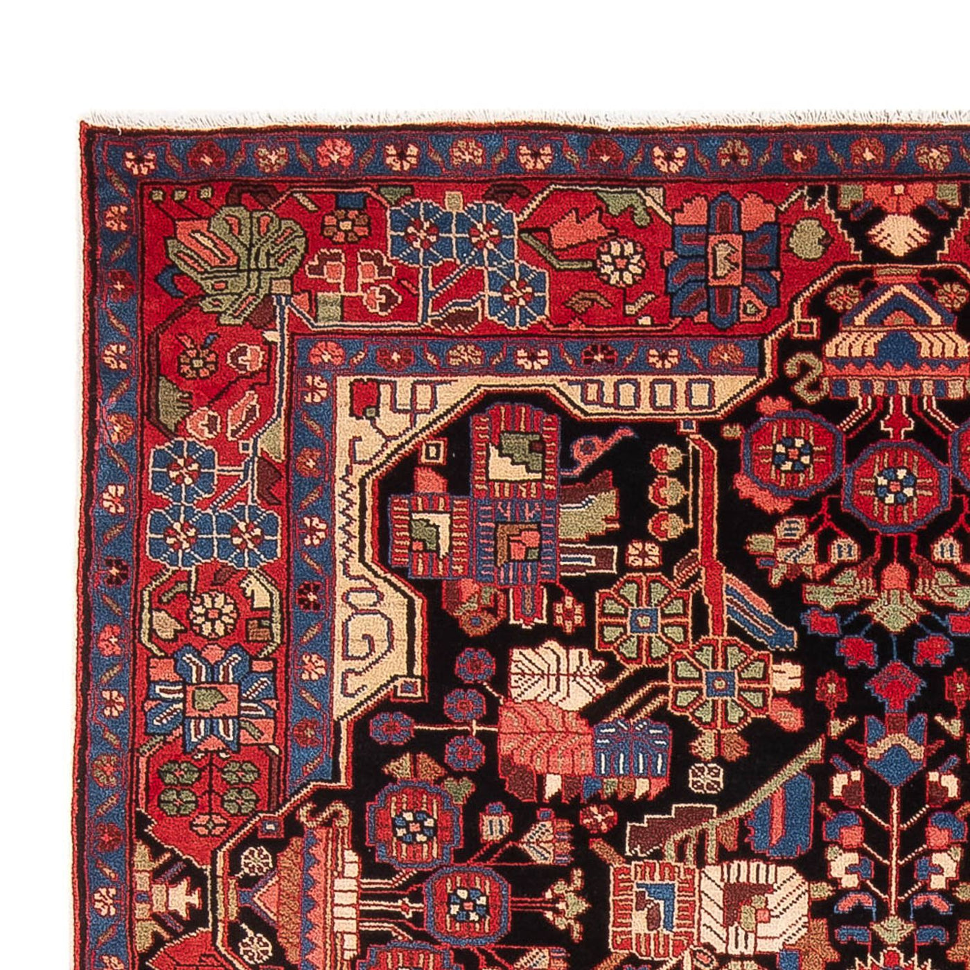 Nahavand Rug 240x153cm - Persian Rugs