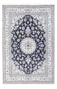Nain Rug 249x166cm - Persian Rugs
