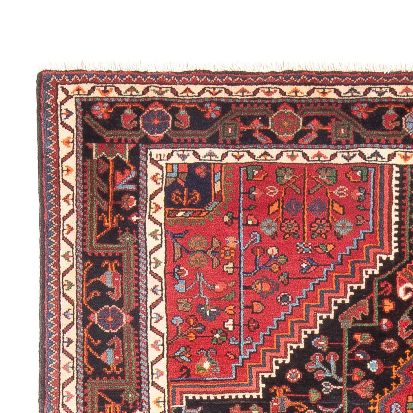 Hamadan Rug 250x150cm - Persian Rugs
