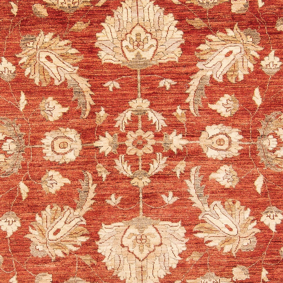 Ziegler Rug - 367 x 271 cm - red