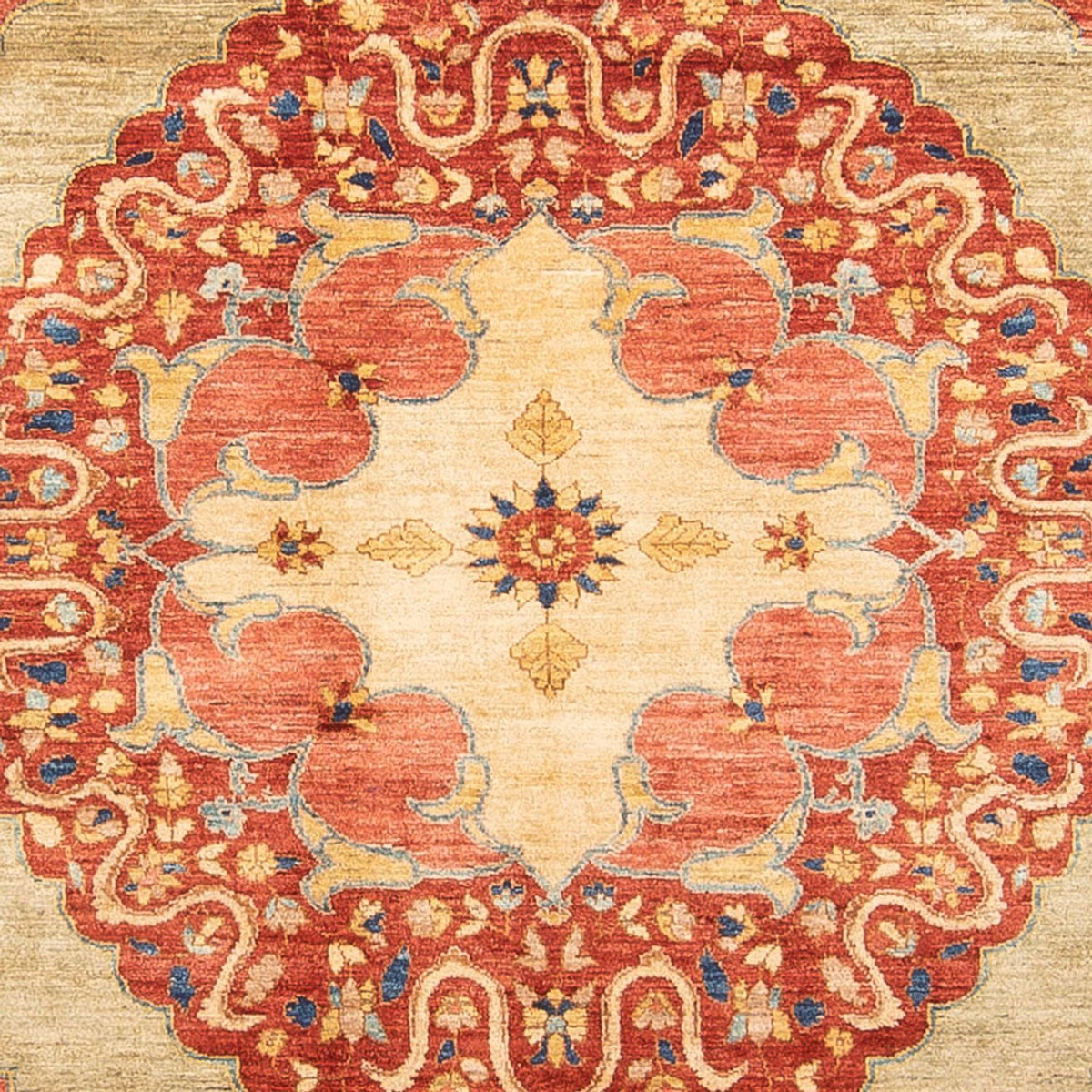 Ziegler Rug - Ariana - 348 x 271 cm - red