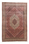 Bidjar Rug 207x310cm - Persian Rugs - Rectangle / Red / 207 x 310 cm Rectangle
