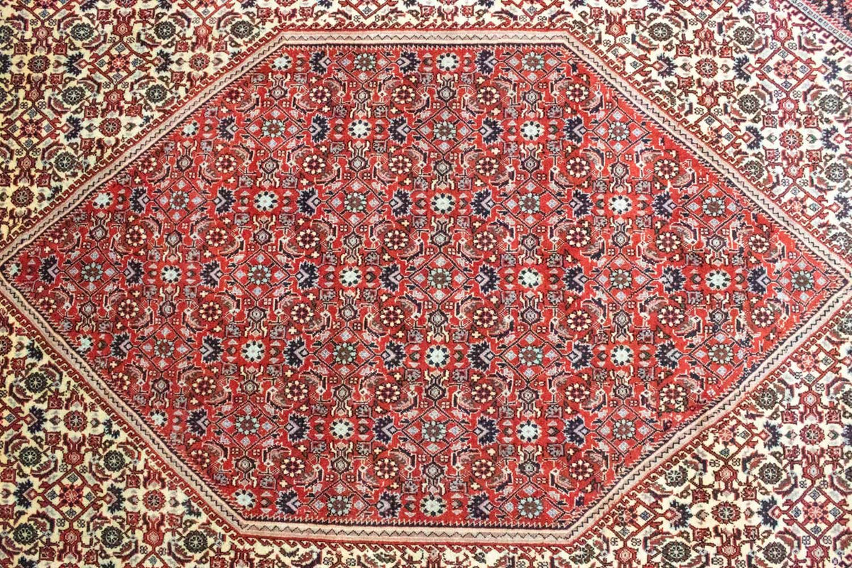 Perser Rug - Bidjar - 302 x 203 cm - red