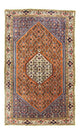 Bidjar Rug 220x134cm - Persian Rugs