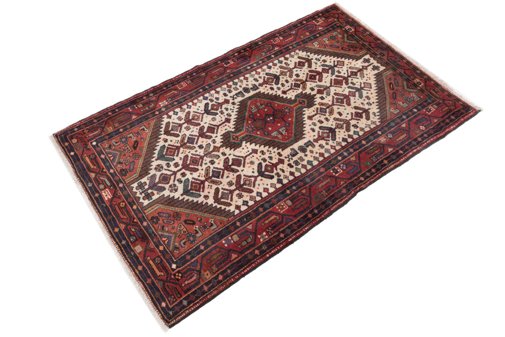 Hamadan Rug 160x100cm - Persian Rugs
