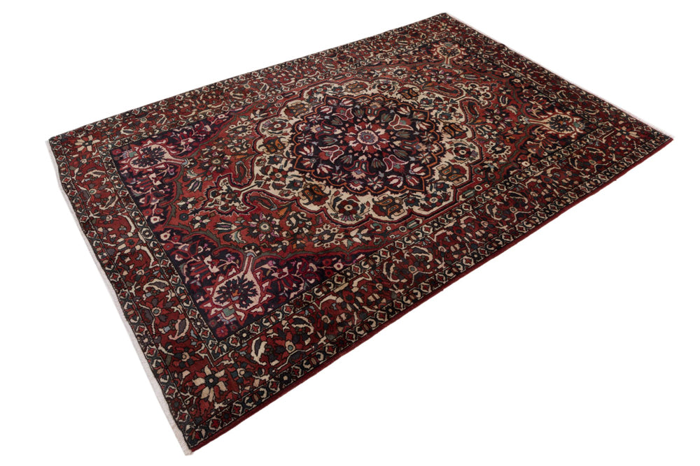 Bakhtiari Rug 310x205cm - Persian Rugs