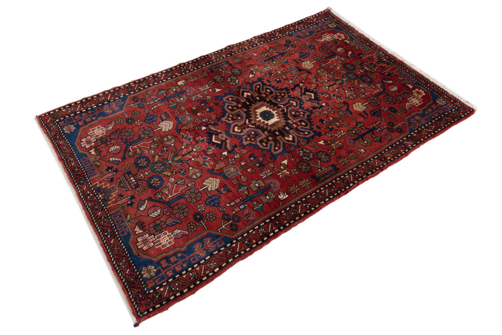 Hamadan Rug 180x115cm - Persian Rugs