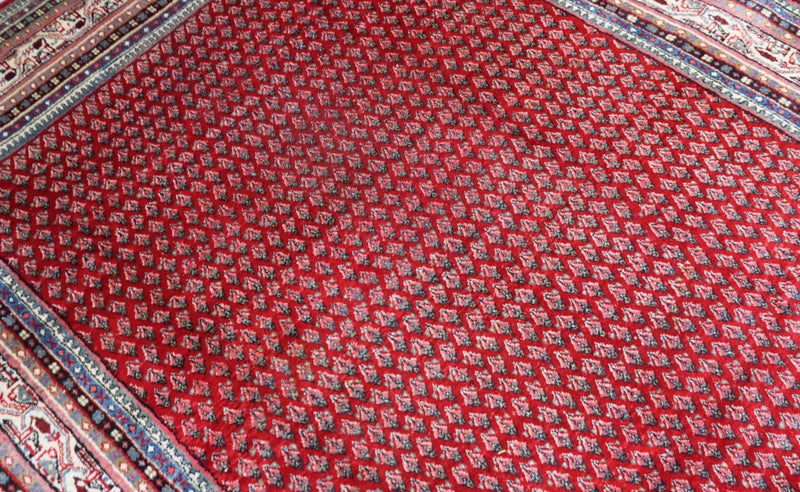 Perser Rug - Classic - 317 x 220 cm - red