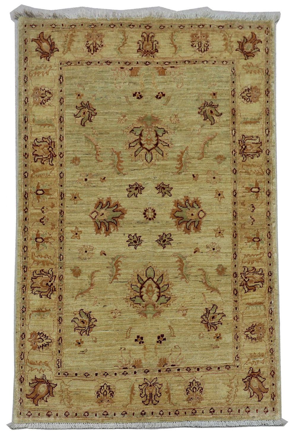 Ziegler Rug - 147 x 99 cm - olive green
