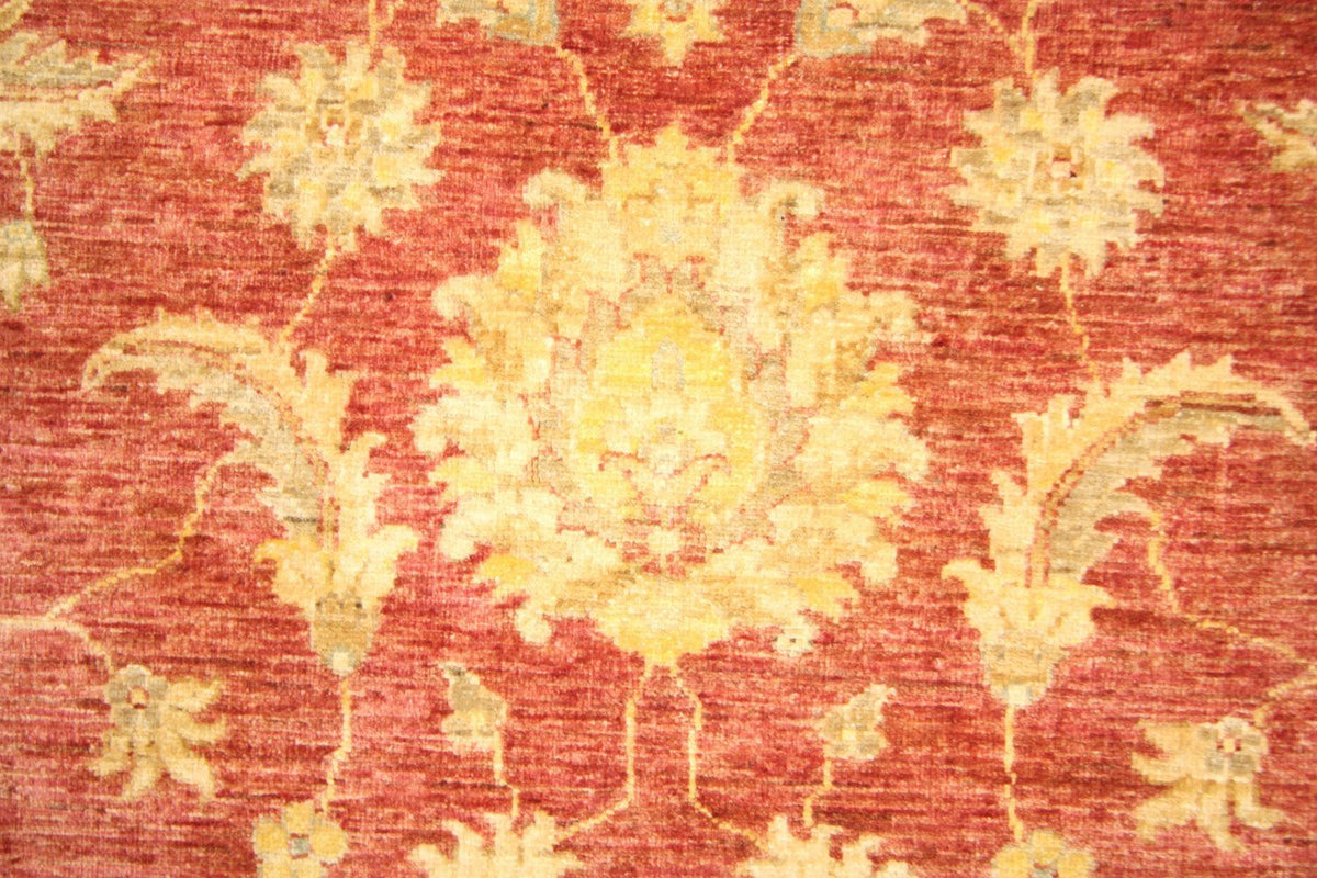 Ziegler Rug - 239 x 164 cm - gold