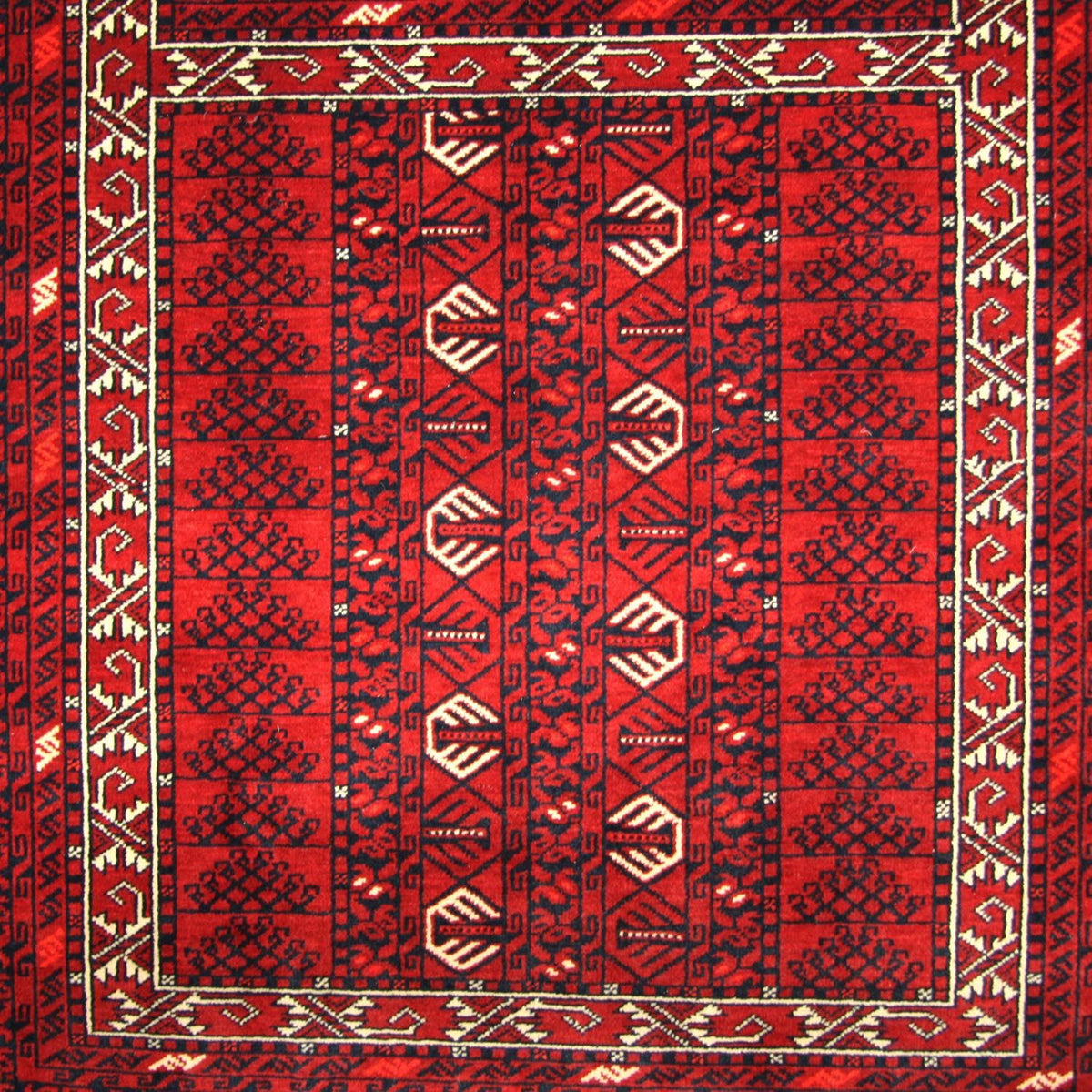 Afghan Rug - 252 x 166 cm - red