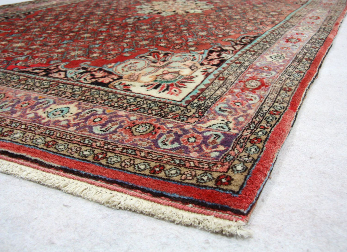 Bidjar Rug 245x144cm - Persian Rugs