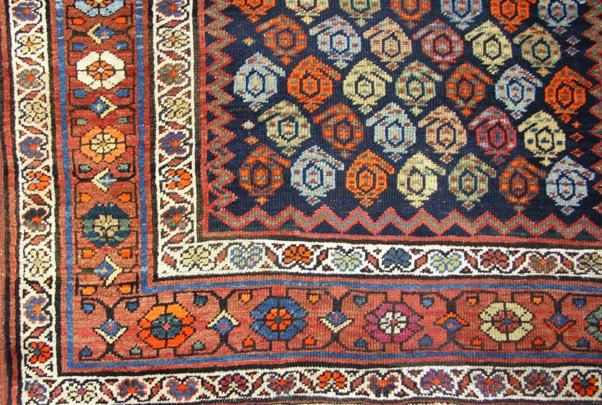 Runner Ziegler Rug - Shirvan - 440 x 113 cm - brown