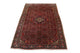 Bidjar Rug 170x110cm - Persian Rugs
