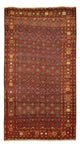 Ghoutshan Rug 304x170cm - Persian Rugs