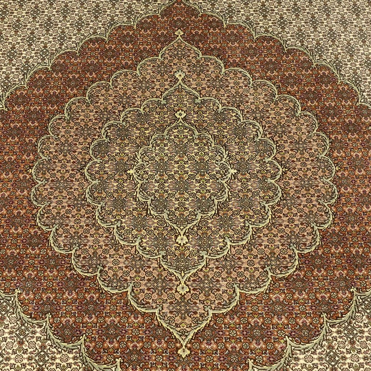 Perser Rug - Tabriz - Royal - Royal - 336 x 252 cm - taupe