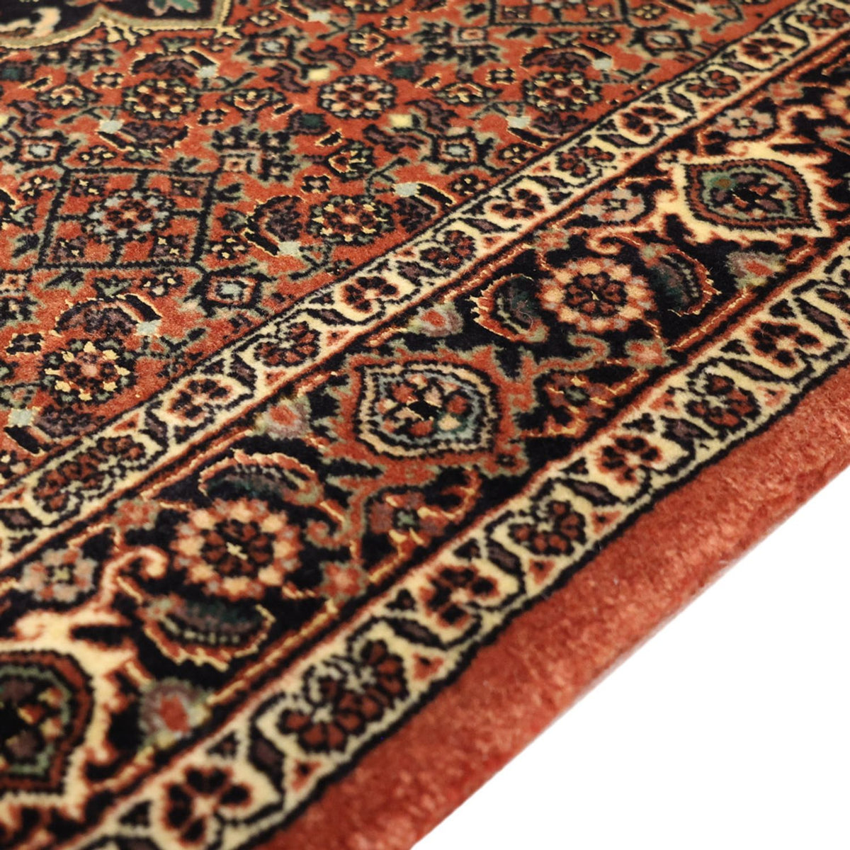 Bidjar Rug 87x151cm - Persian Rugs