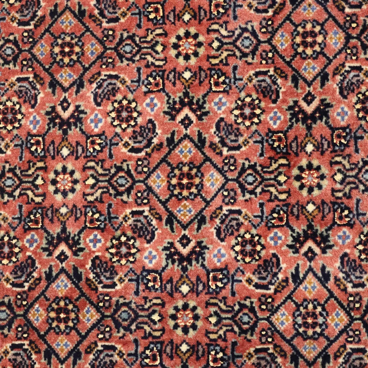Perser Rug - Bidjar - 141 x 70 cm - rust