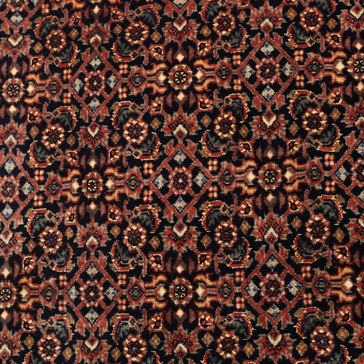 Perser Rug - Bidjar - 152 x 88 cm - dark beige