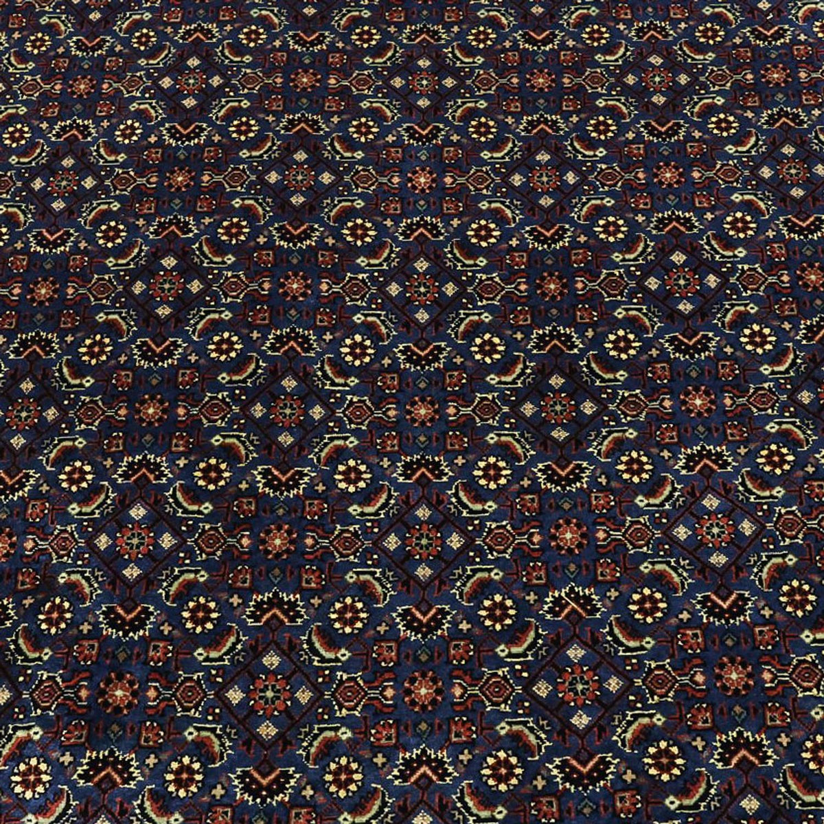 Perser Rug - Bidjar - Royal - 319 x 256 cm - dark blue