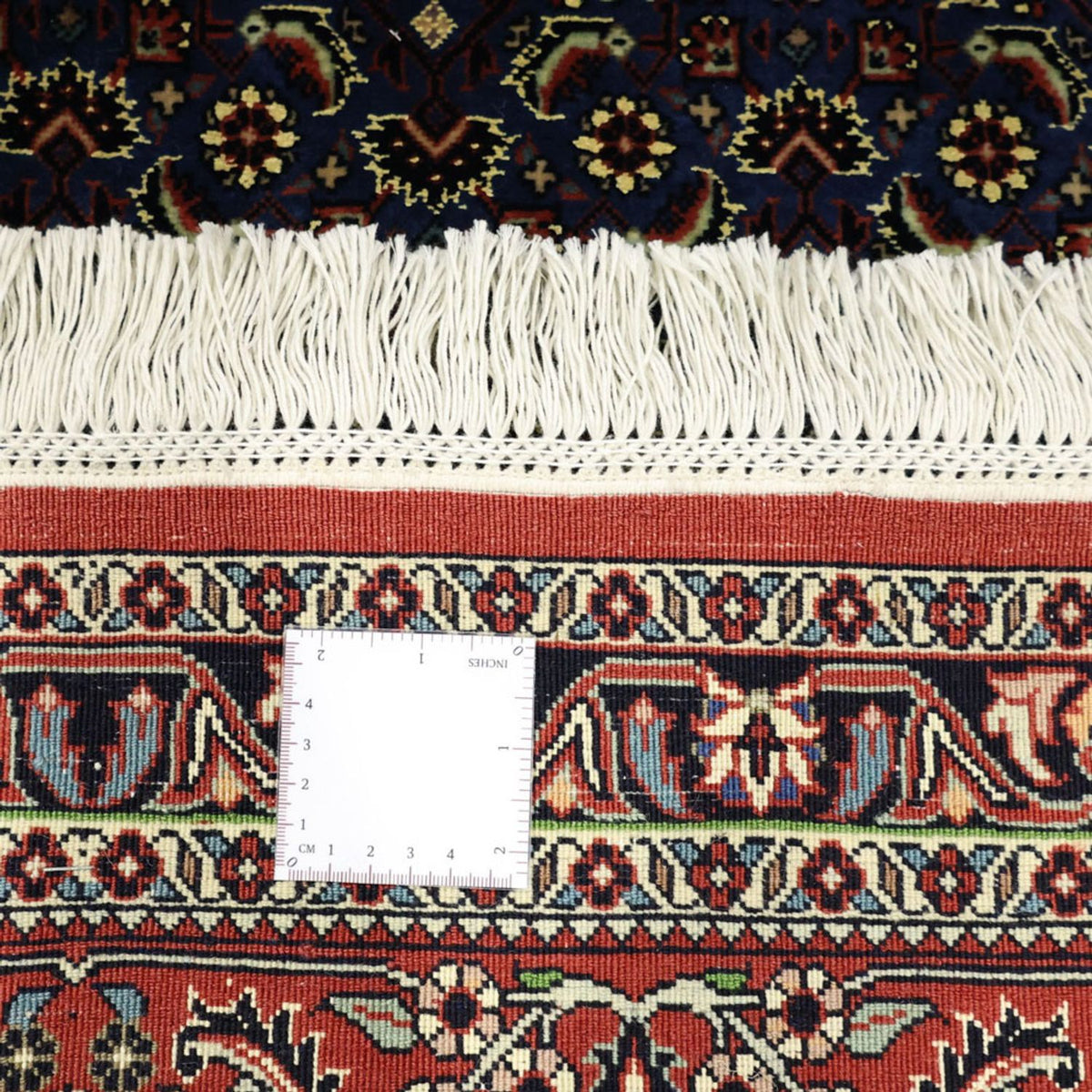 Perser Rug - Bidjar - Royal - 319 x 256 cm - dark blue