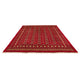 Pakistani Rug 248x320cm - Oriental Rug
