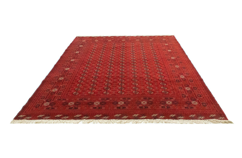 Afghan Rug - Bukhara - 288 x 202 cm - dark red