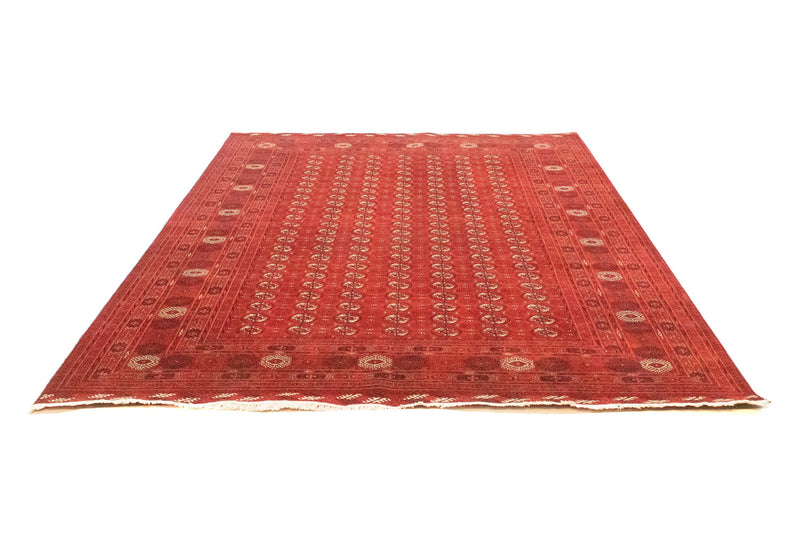 Afghan Rug - Bukhara - 293 x 203 cm - red