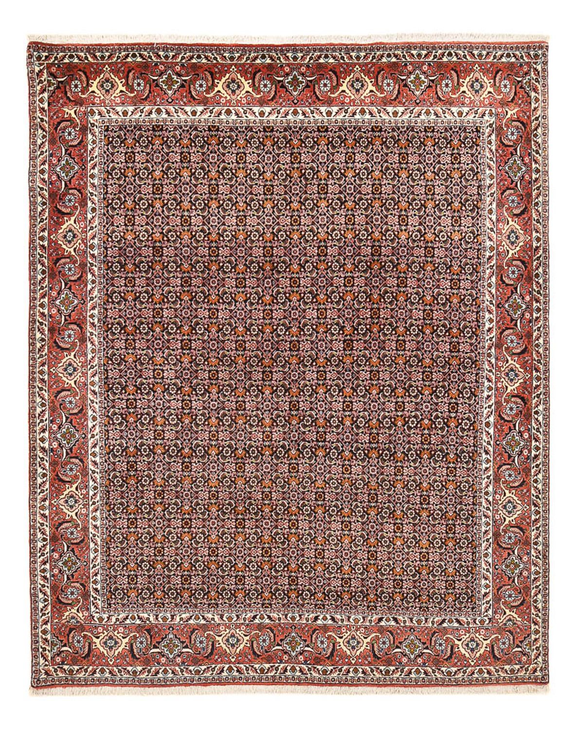 Perser Rug - Bidjar - 264 x 204 cm - rust
