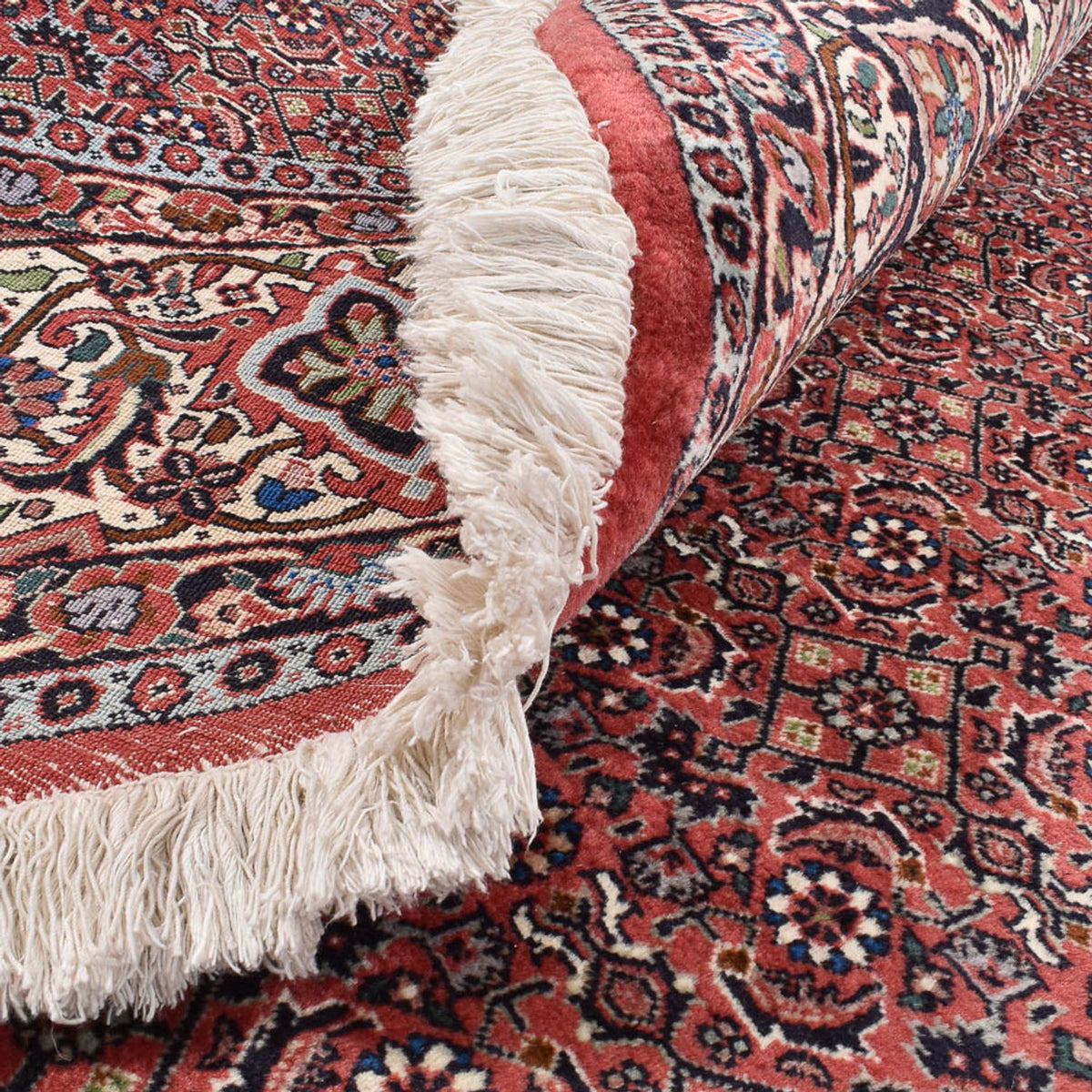 Perser Rug - Bidjar round  - 300 x 300 cm - bordeaux red