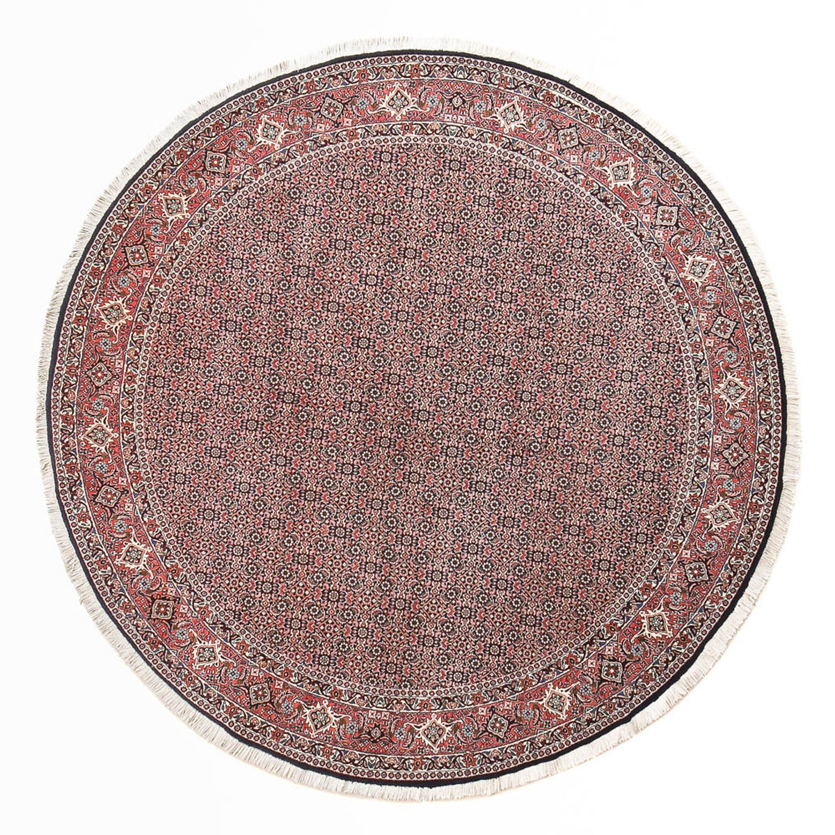 Perser Rug - Bidjar round  - 255 x 255 cm - rust