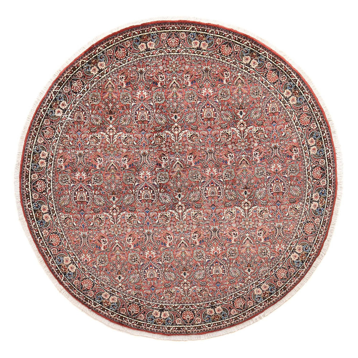 Perser Rug - Bidjar round  - 250 x 250 cm - rust