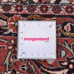 Perser Rug - Bidjar round  - 300 x 300 cm - rust