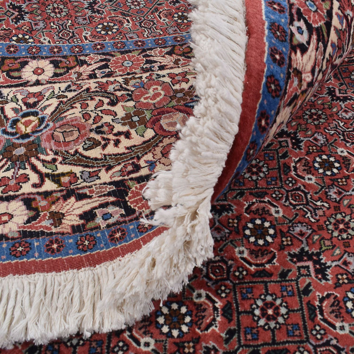 Perser Rug - Bidjar round  - 300 x 300 cm - rust