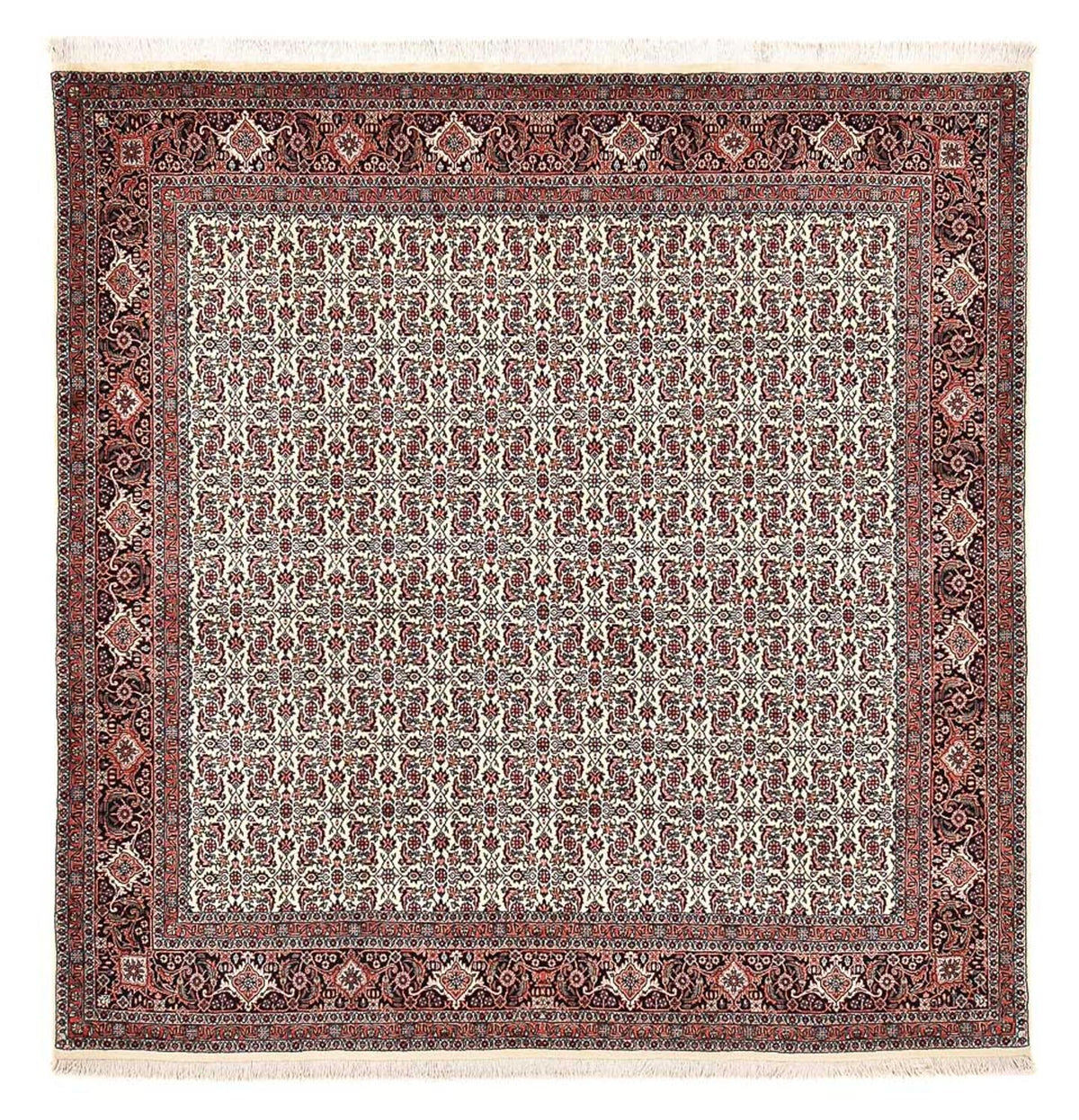 Perser Rug - Bidjar square  - 210 x 199 cm - multicolored