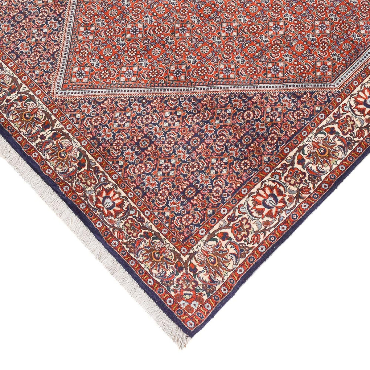 Perser Rug - Bidjar - 245 x 136 cm - rust