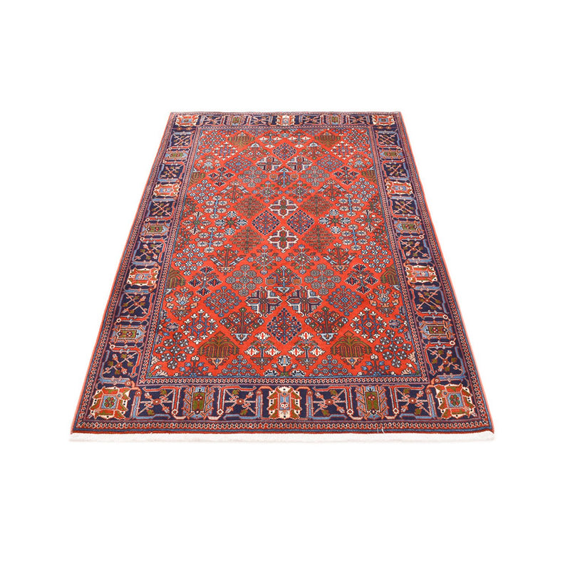 Joshaghan Rug 204x138cm - Persian Rugs