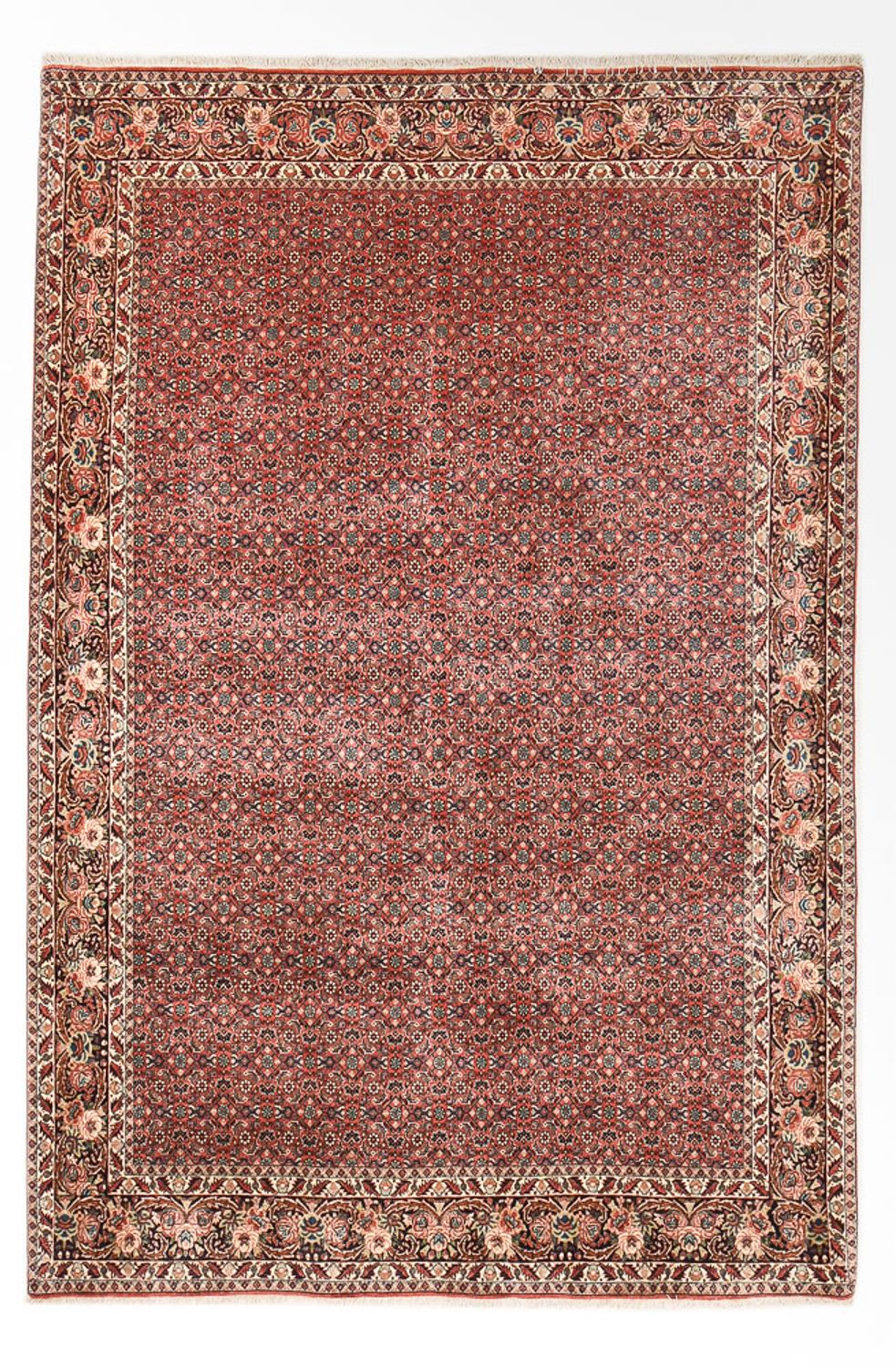 Perser Rug - Bidjar - 297 x 200 cm - rust
